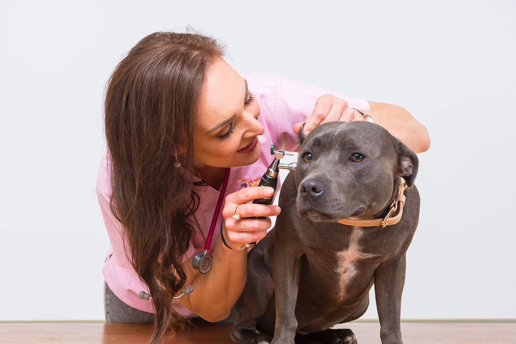 The role of food allergies in your dog's ear infections